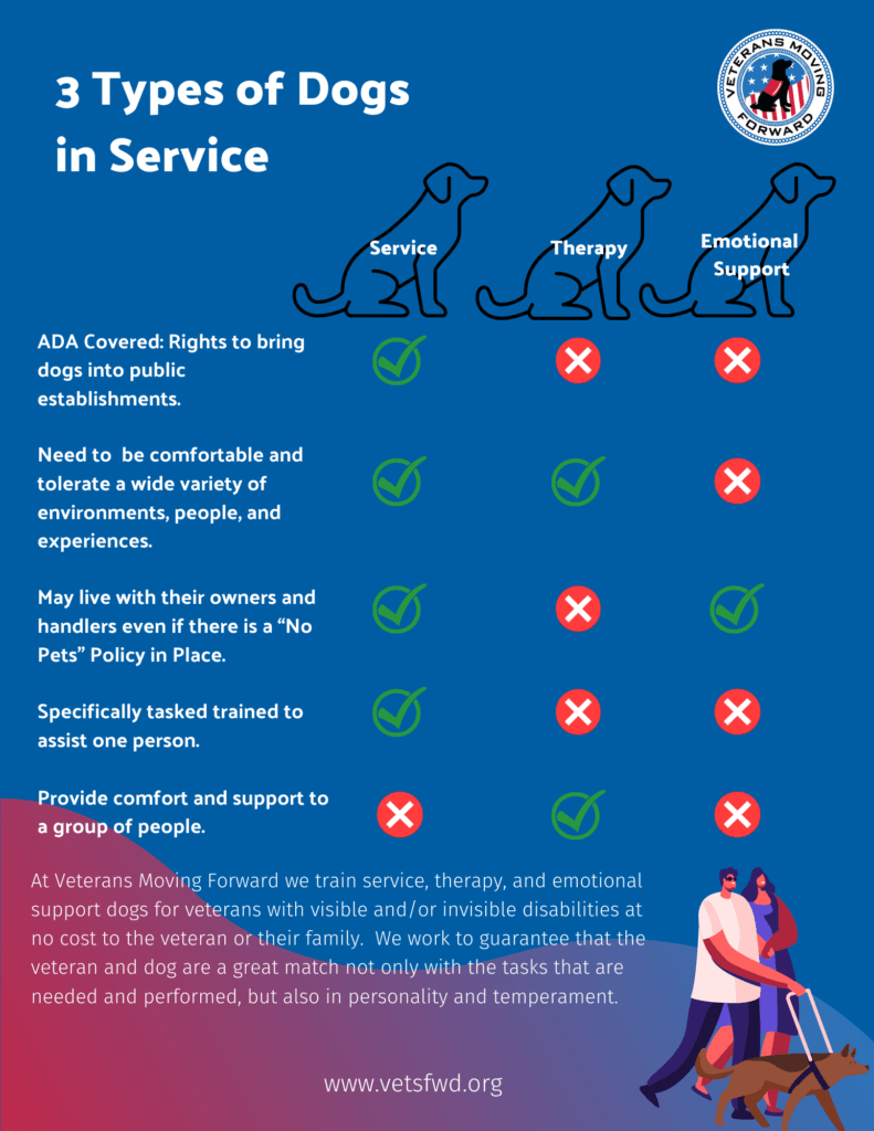 SERVICE DOGS